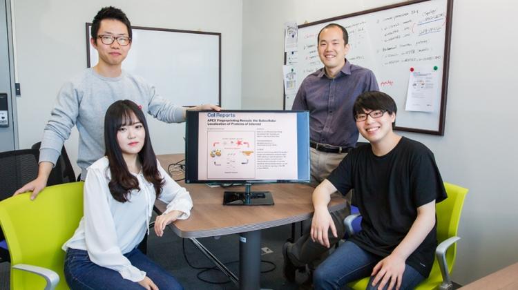 A Simple, Innovative Method for Predicting Protein Subcellular Localization
