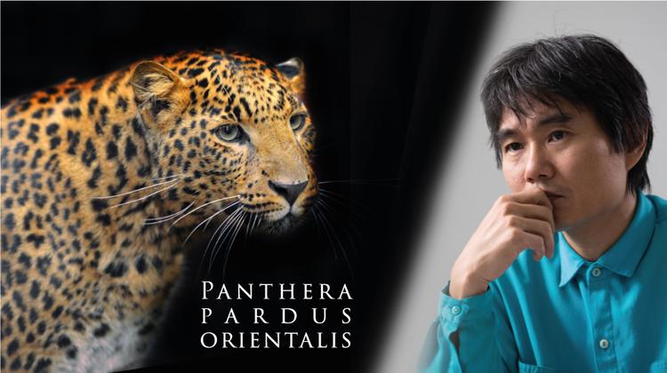 Scientists Publish Complete Genetic Blueprint of Korean Leopard