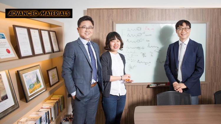 UNIST Researchers Engineer Transformer-like Carbon Nanostructure