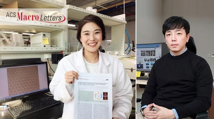 UNIST Provides New Insights into Underwater Adhesives