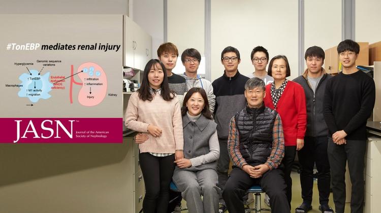 Scientists Find A Major Risk Factor for Diabetic Nephropathy