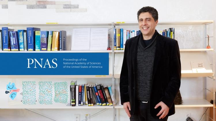 New Study Presents Model to Explain How Evolution Can Shape Flexible, Functional Proteins