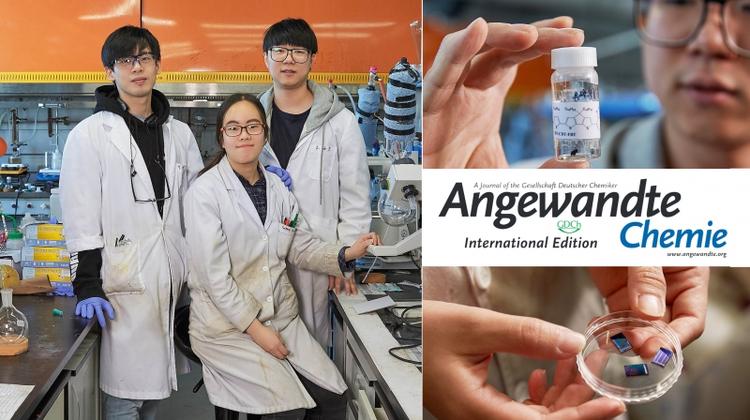 New Study Reveals Irregular Structures in Polymers Enhance 'Organic Semiconductor' Properties