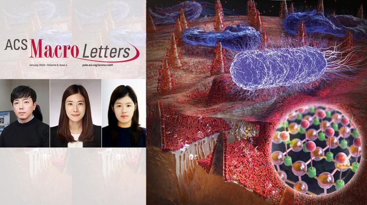 UNIST Presents Seaweed-inspired New Antifouling Materials