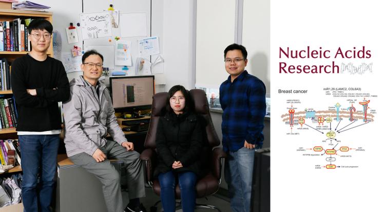 Biclustering Big Data Analysis Identifies Cancer Suppressing microRNAs