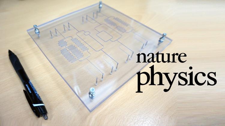 Droplet Trains Reveal How Nature Navigates Blood Traffic