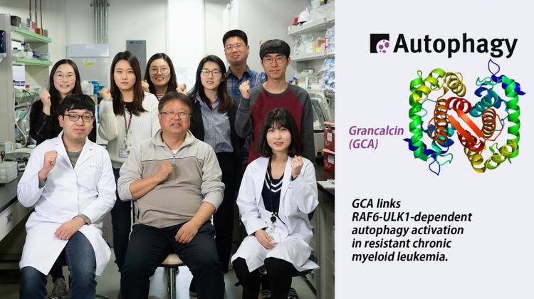 New Study Unveils Drug-resistant Gene for 'Miracle' Cancer Drug Gleevec