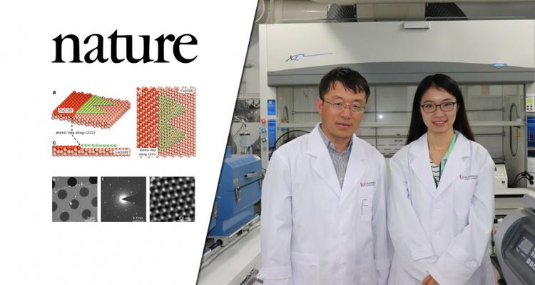 New Study Gives Explanation for How to Enlarge 2D Materials as Single Crystals