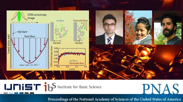 Slip Layer Dynamics Reveal Why Some Fluids Flow Faster Than Expected