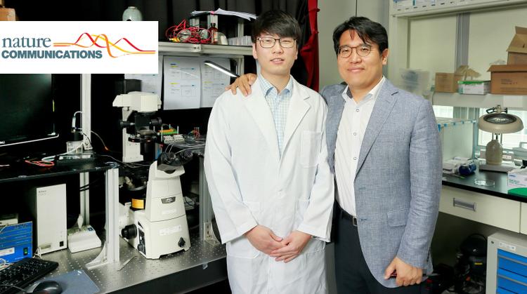 Form as Casting Templates for Simple and Low-cost Nanopatterning