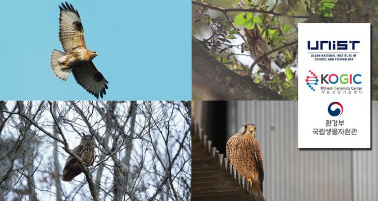 Scientists Identify the Genetic Basis of Predation and Nocturnality in Raptors