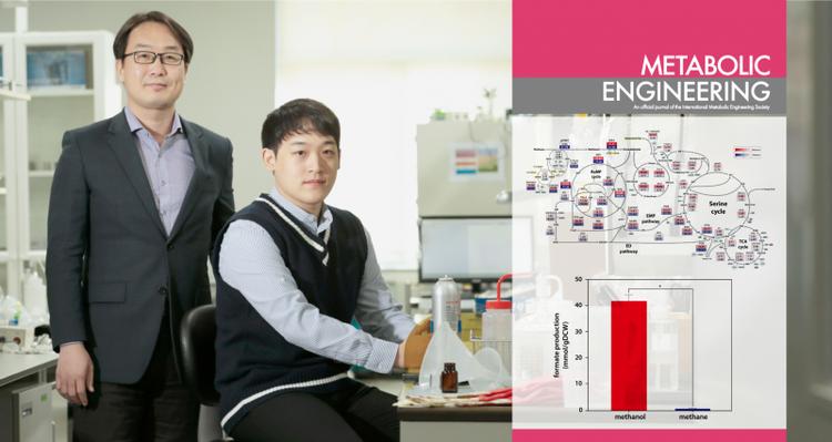 Genome-scale Evaluation of Core One-carbon Metabolism in Gammaproteobacterial Methanotrophs Grown on Methane and Methanol
