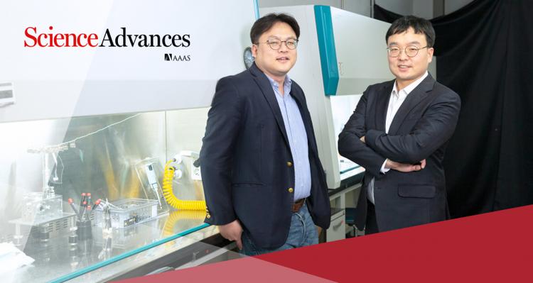 Superaerophobic Hydrogels for Enhanced Electrochemical and Photoelectrochemical Hydrogen Production