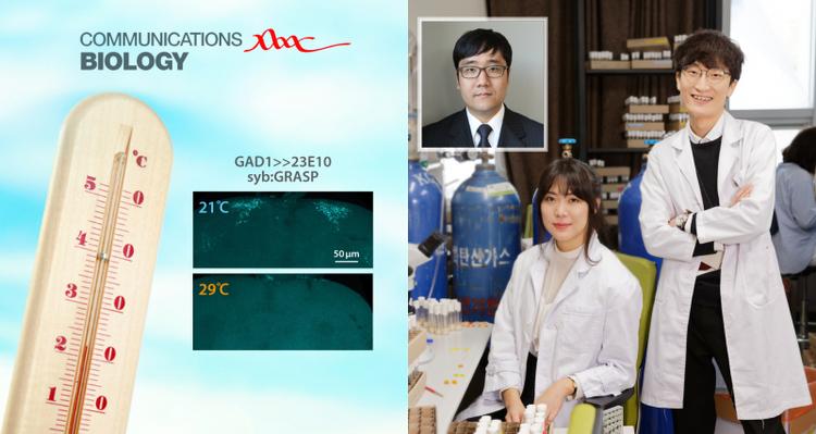 New Study Reveals the Science Behind Springtime Lethargy