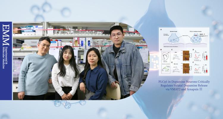 New Study Reveals Key Protein's Role in Regulating Dopamine Secretion!