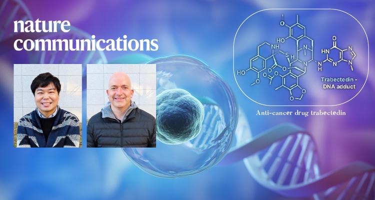 New Study Unveils How A Natural Compound from Sea Squirts Combats Cancer