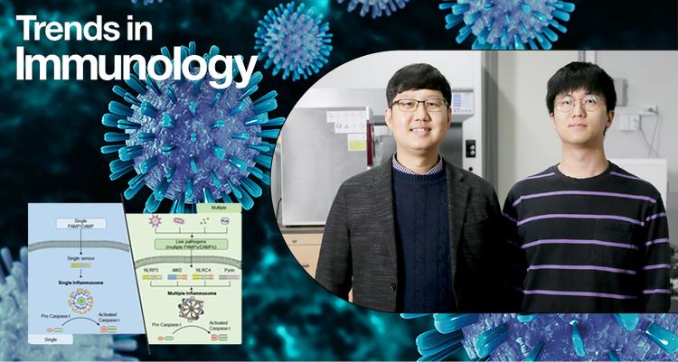 Unraveling the Role of Multi-Sensor Inflammatory Control Complexes in Innate Immunity