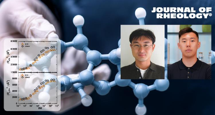 New Study Unveils the Unique Characteristics of Short-Chain Branched Polymers
