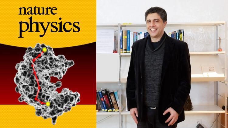 Unlocking the Mechanics of Life: Enzymes as Soft, Programmable Nanobots