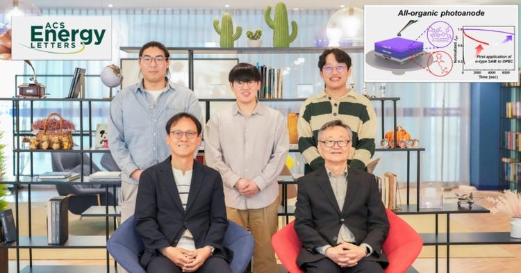 Innovative All-Organic Photoelectrode Developed to Enhance Eco-Friendly Solar Hydrogen Production