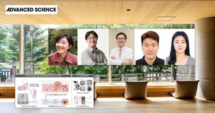 Bioprinted Organoids for Capturing Tumor Features and Predicting Prognosis Based on Shape