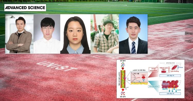 Novel Blood Purification Technique Eliminates Antibiotic-Resistant Bacteria via Artificial Clots