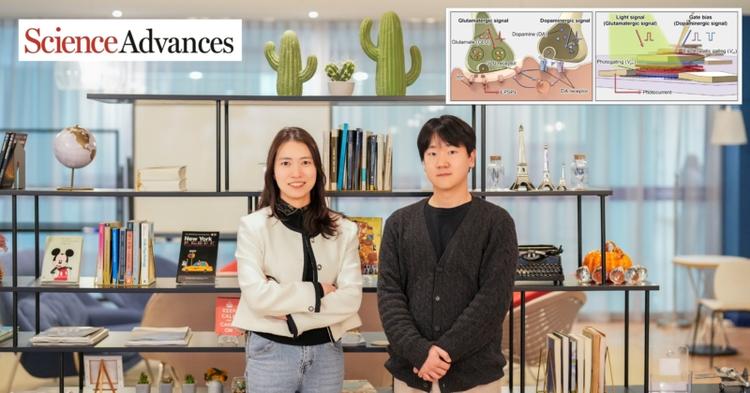 Innovative Brain-Inspired Vision Sensor Enhances Object Outline Extraction in Varying Lighting Conditions