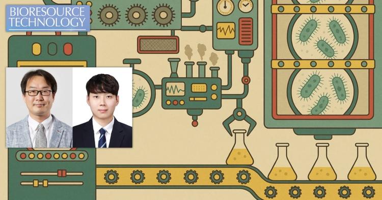 Biosensor-Driven Evolution Boosts Itaconic Acid and Uncovers Stringent Response Mechanisms