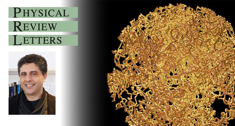 Twice Around to Return Home: A Hidden Reset Button for Spins and Qubits