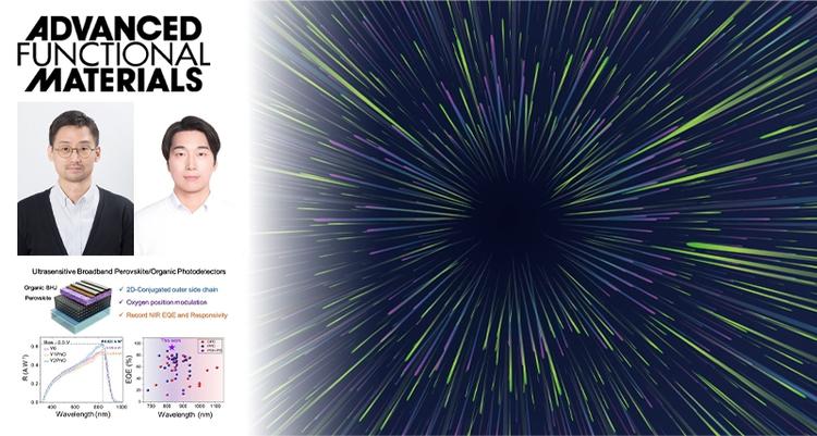 New Study Unveils Ultra-High Sensitivity Broadband Flexible Photodetectors
