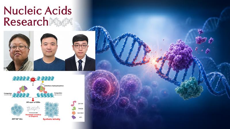 가장 흔한 소아암 재발·치료 예후 가르는 유전자 찾았다