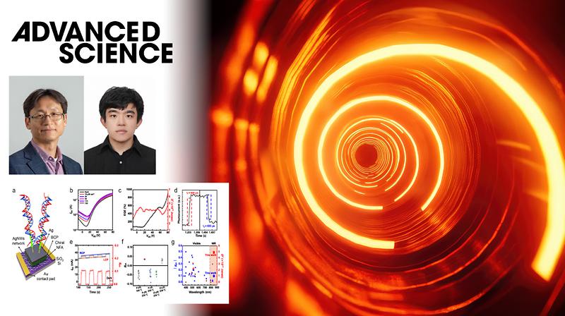 New Organic Photodetector Improves Polarized Near-Infrared Light Detection