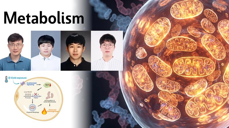 Cold-Sensitive Epigenetic Pathway Regulates Heat Production in Fat