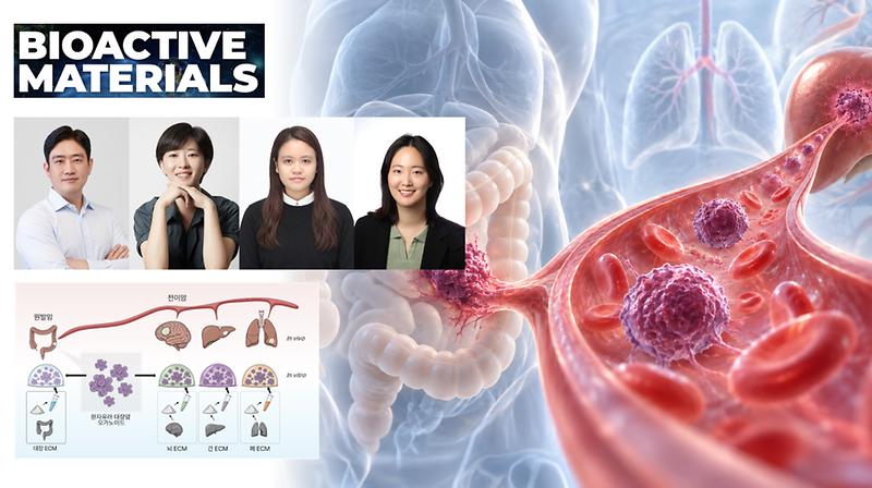 Organ Environment Shapes How Metastatic Cancer Cells Adapt