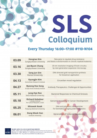 2017 SNS Colloquium: Prof. Hongtae Kim