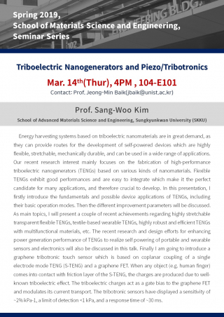 [2019 MSE Spring Seminar] Professor Sang-Woo Kim
